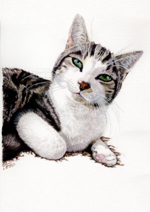 Pet Portraits - Aquarel