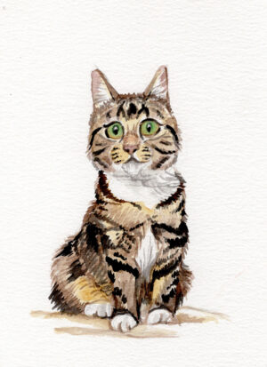 Pet Portraits - Aquarel Cartoon Style