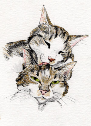 Pet Portraits - Potlood Cartoon Style