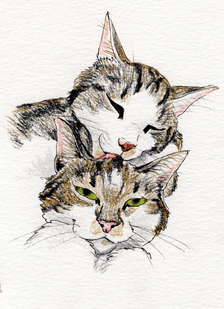 Pet Portraits - Potlood Cartoon Style