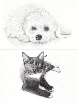 Pet Portraits - Potlood
