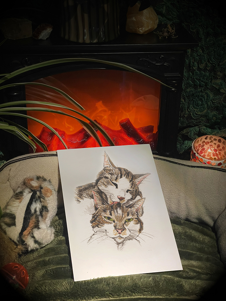 Pet Portraits - Potlood Cartoon Style - Afbeelding 2