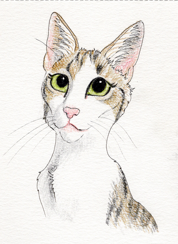 Pet Portraits - Potlood Cartoon Style - Afbeelding 4