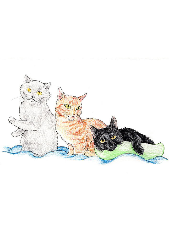 Pet Portraits - Potlood Cartoon Style - Afbeelding 5