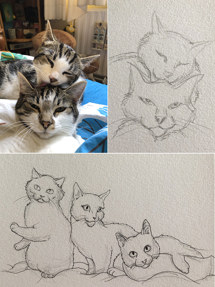 Pet Portraits - Potlood Cartoon Style - Afbeelding 6