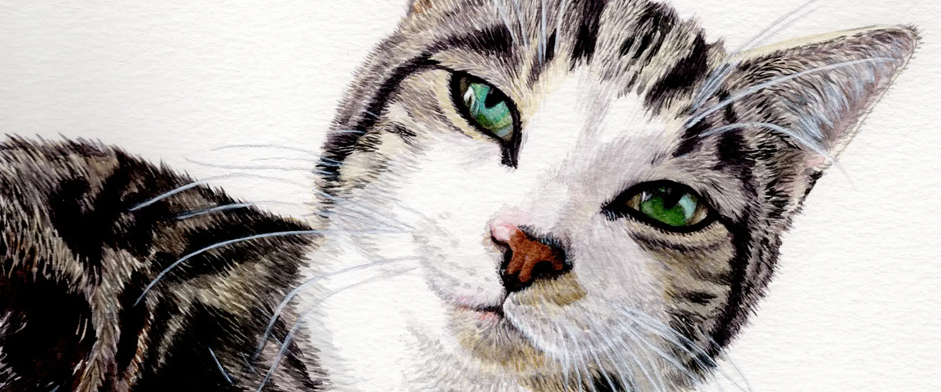 slideshow dierenportretten 01