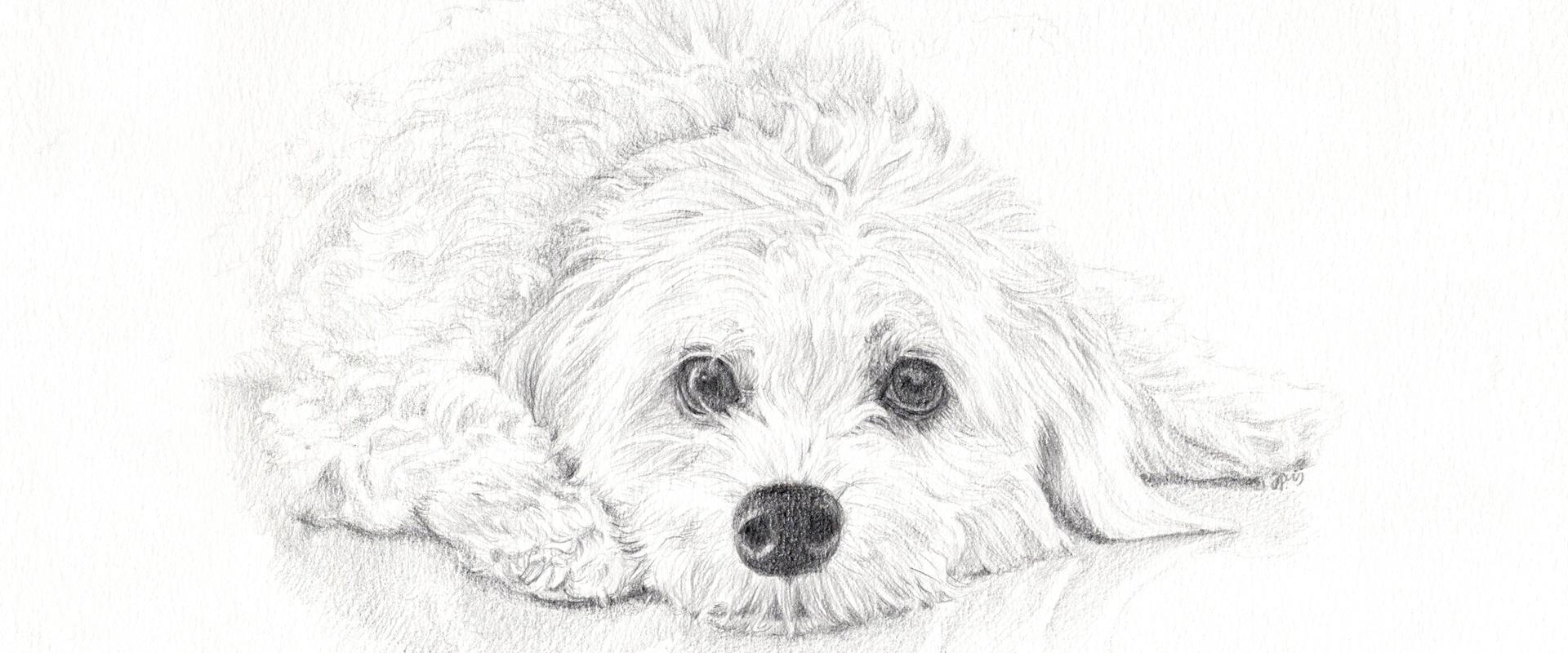 slideshow dierenportretten 03