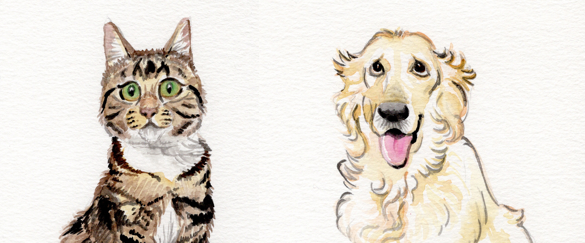 slideshow dierenportretten 04