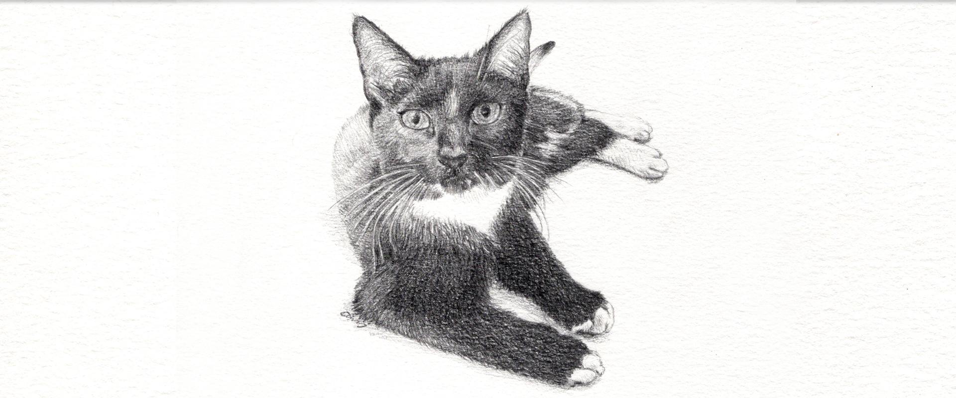 slideshow dierenportretten 05