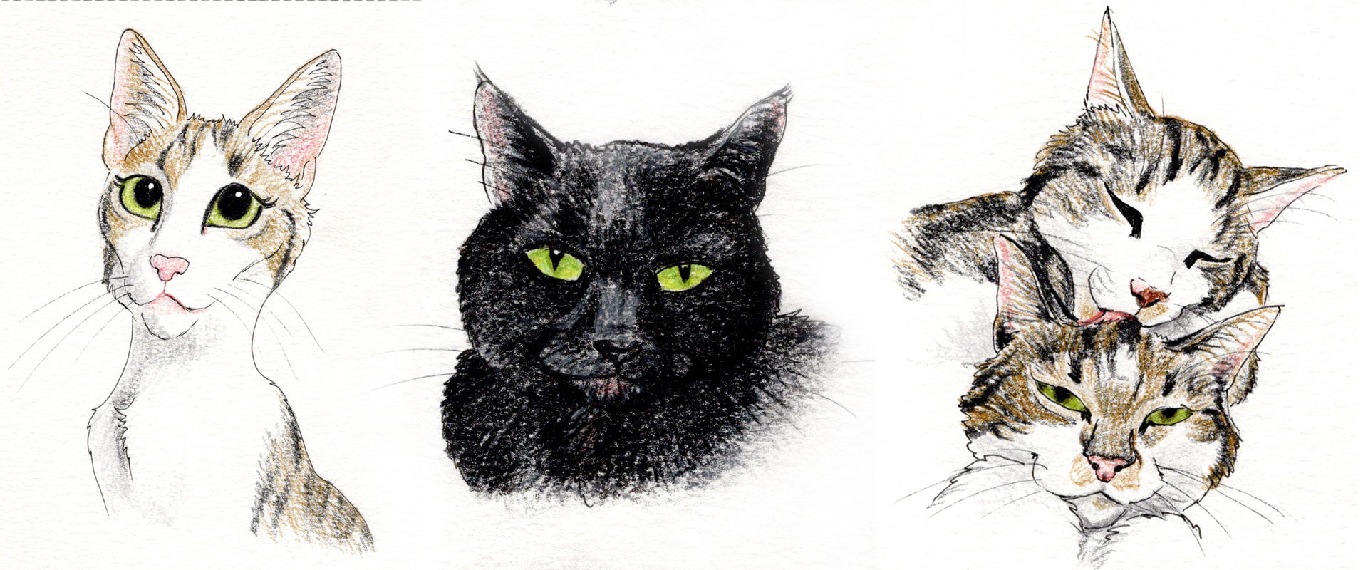 slideshow dierenportretten 06