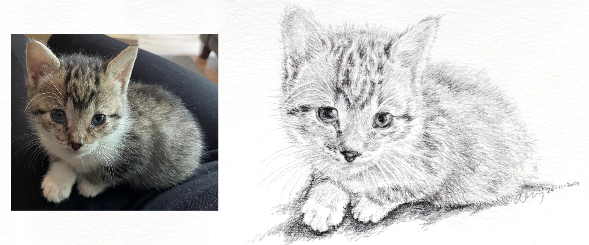 slideshow dierenportretten 08