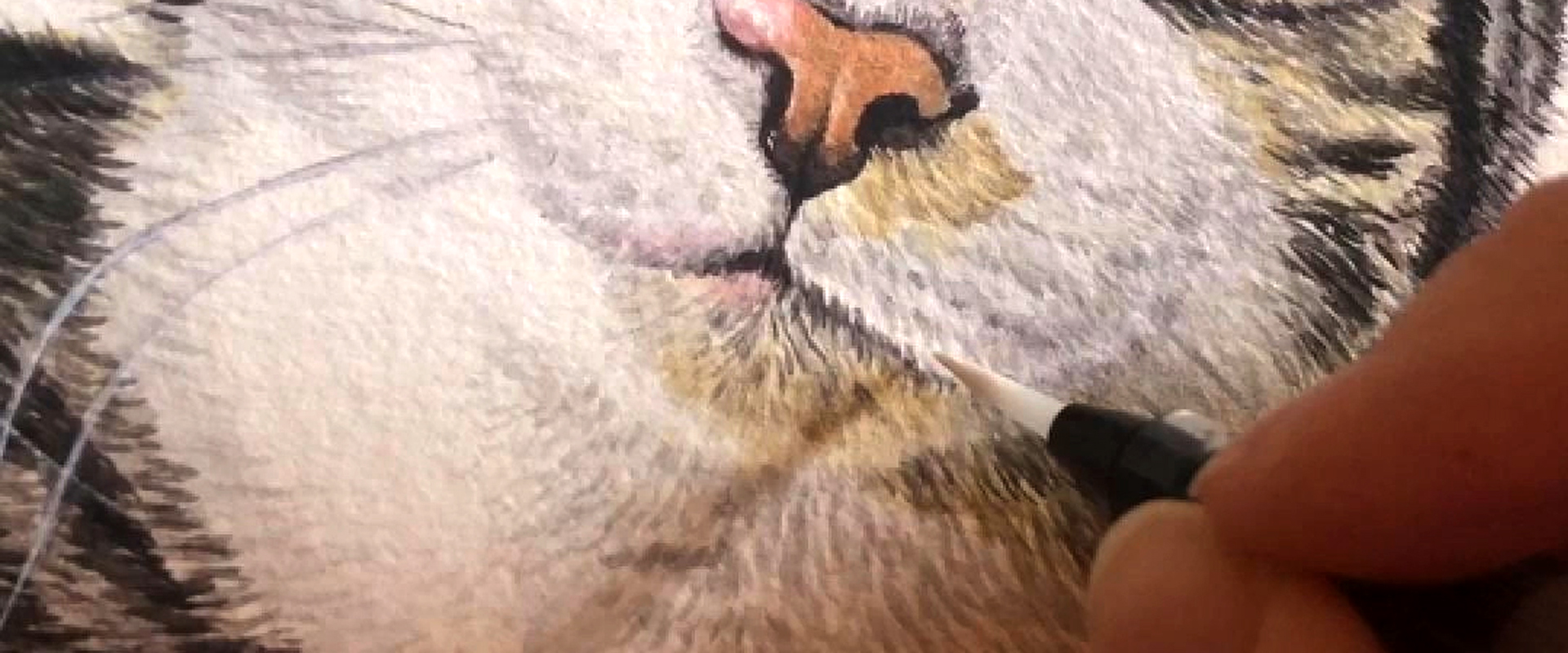 slideshow dierenportretten 09