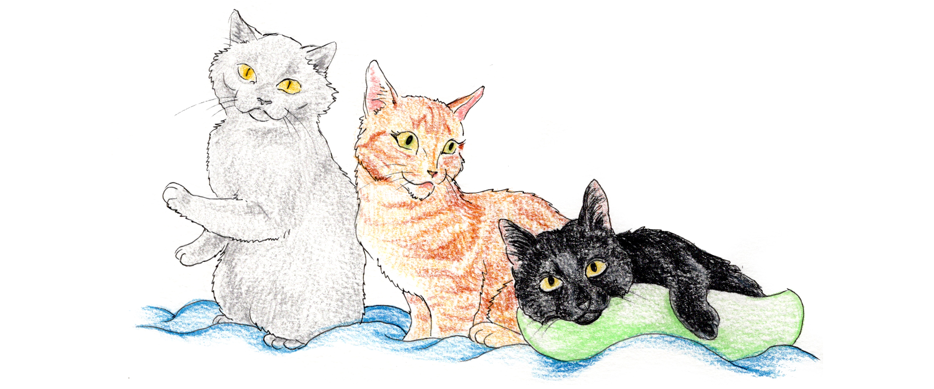 slideshow dierenportretten 20